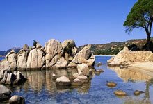 足球比分旧版新浪有哪些特点和回忆?